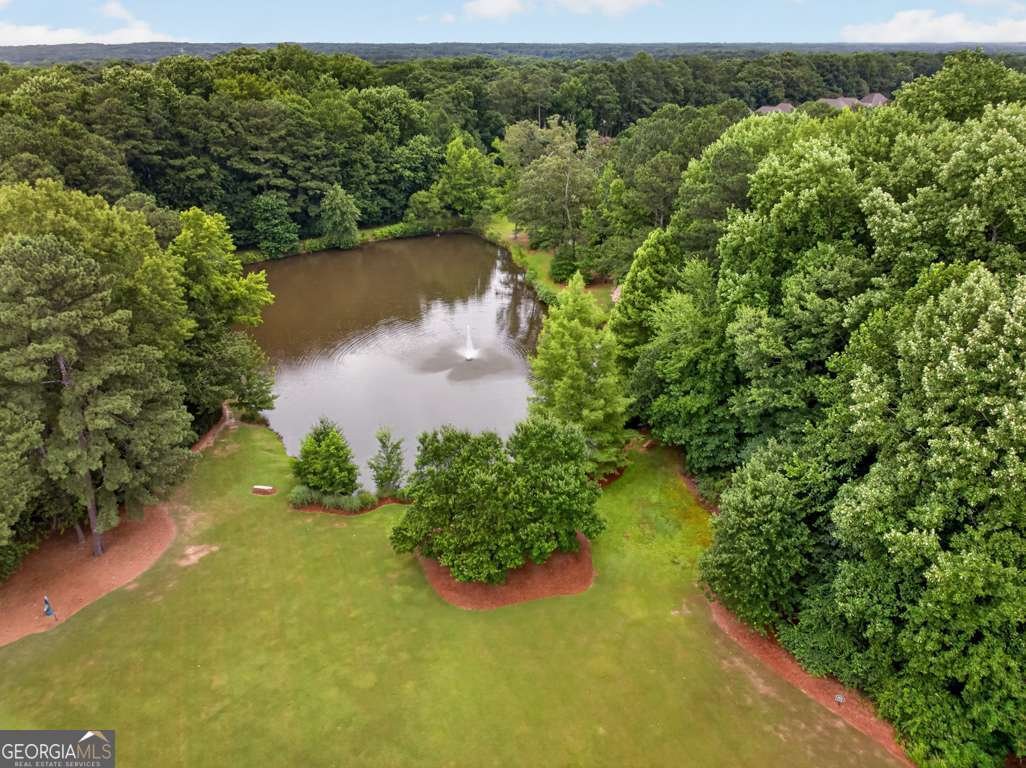 1379 Georgetown Way Grayson - Photo 98