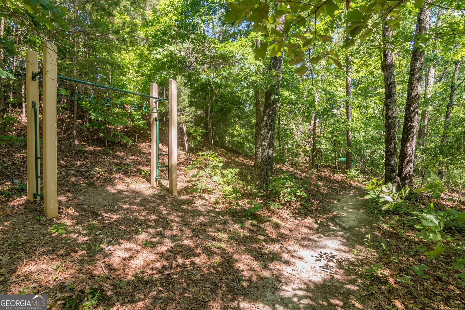 319 Mountain Laurel Walk Canton - Photo 47