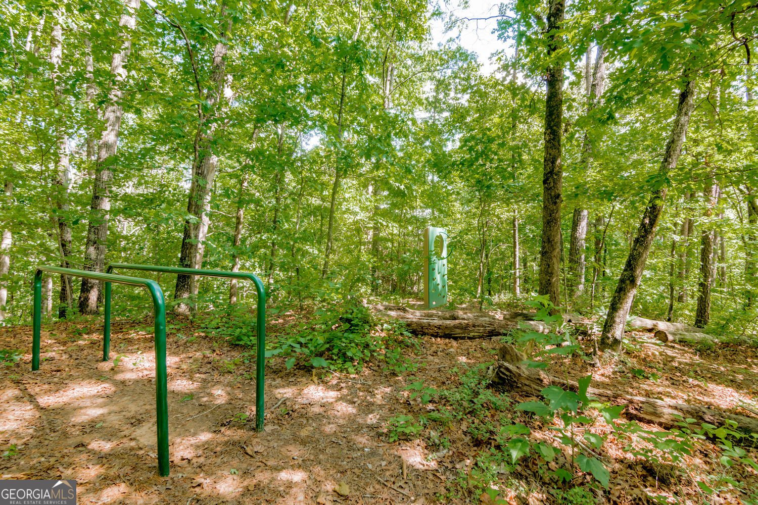 319 Mountain Laurel Walk Canton - Photo 48
