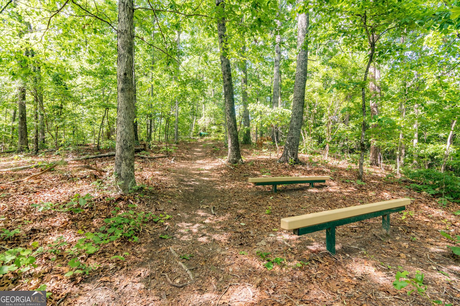 319 Mountain Laurel Walk Canton - Photo 49