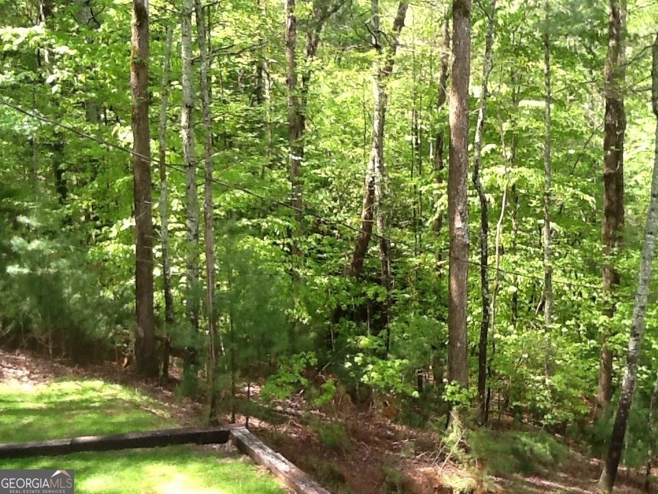290 Ruby Lane Ellijay - Photo 29