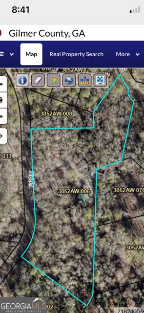 290 Ruby Lane Ellijay - Photo 32
