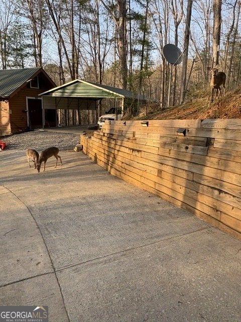 290 Ruby Lane Ellijay - Photo 38