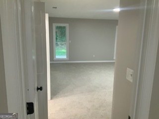 1253 Grindenwald Drive Jonesboro - Photo 14