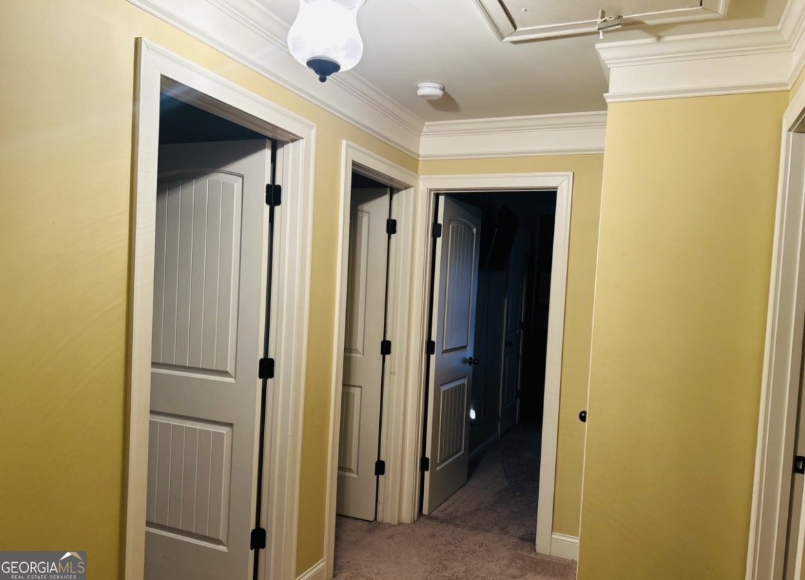 246 Thyme Leaf Way Locust Grove - Photo 48