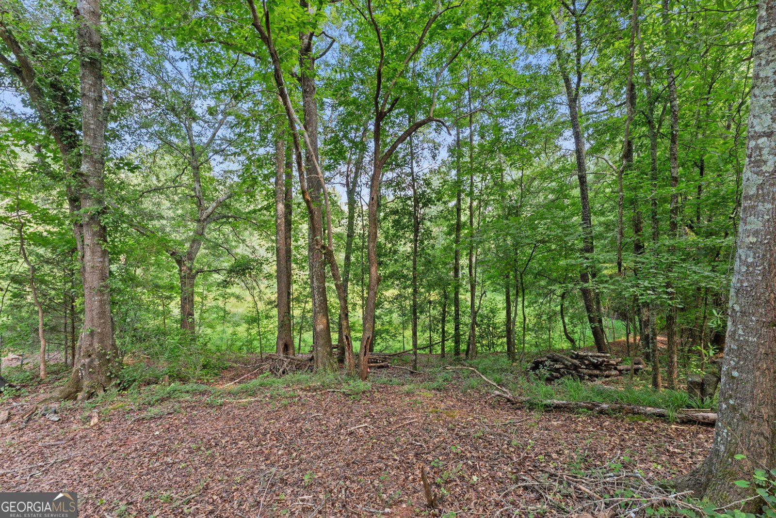 973 Floyd Road Danielsville - Photo 57