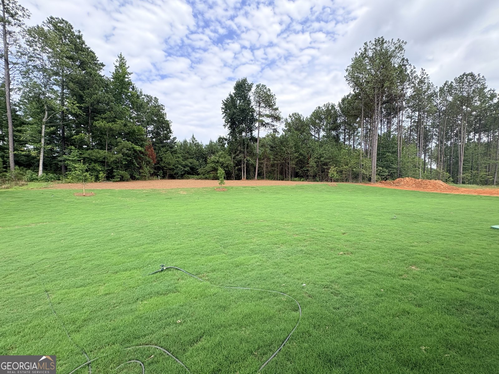 144 Tattersall Way Senoia - Photo 39