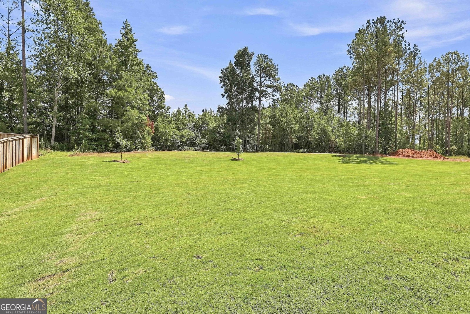144 Tattersall Way Senoia - Photo 54
