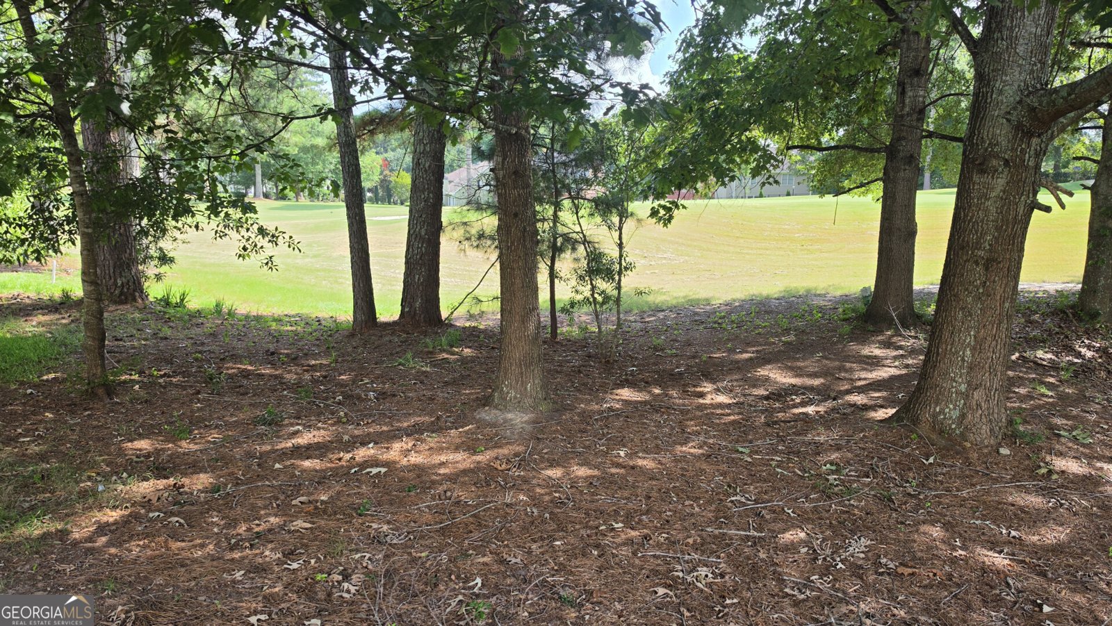 9602 Coastal Pointe Drive Villa Rica - Photo 14
