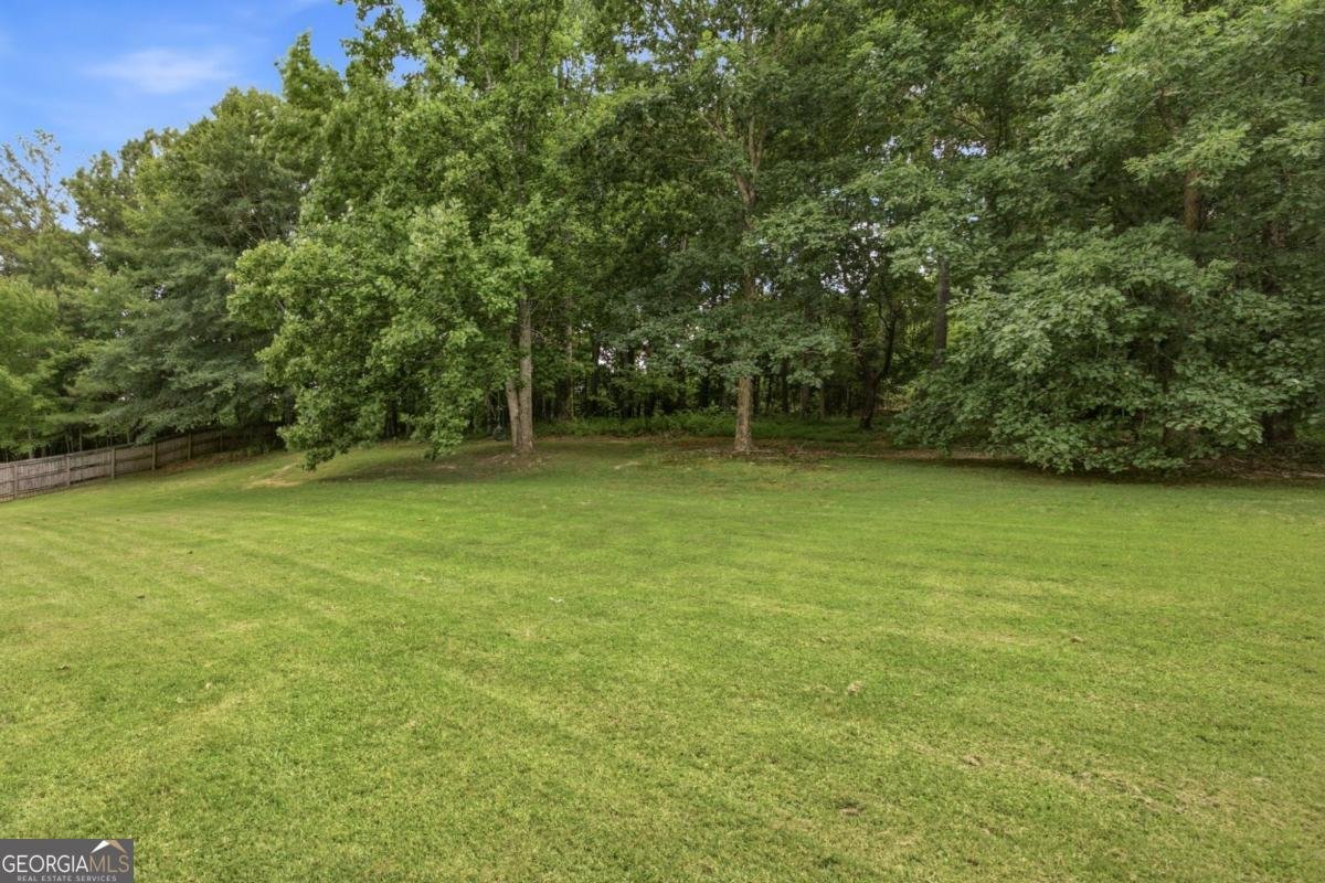 3629 Elinburg Court Buford - Photo 31