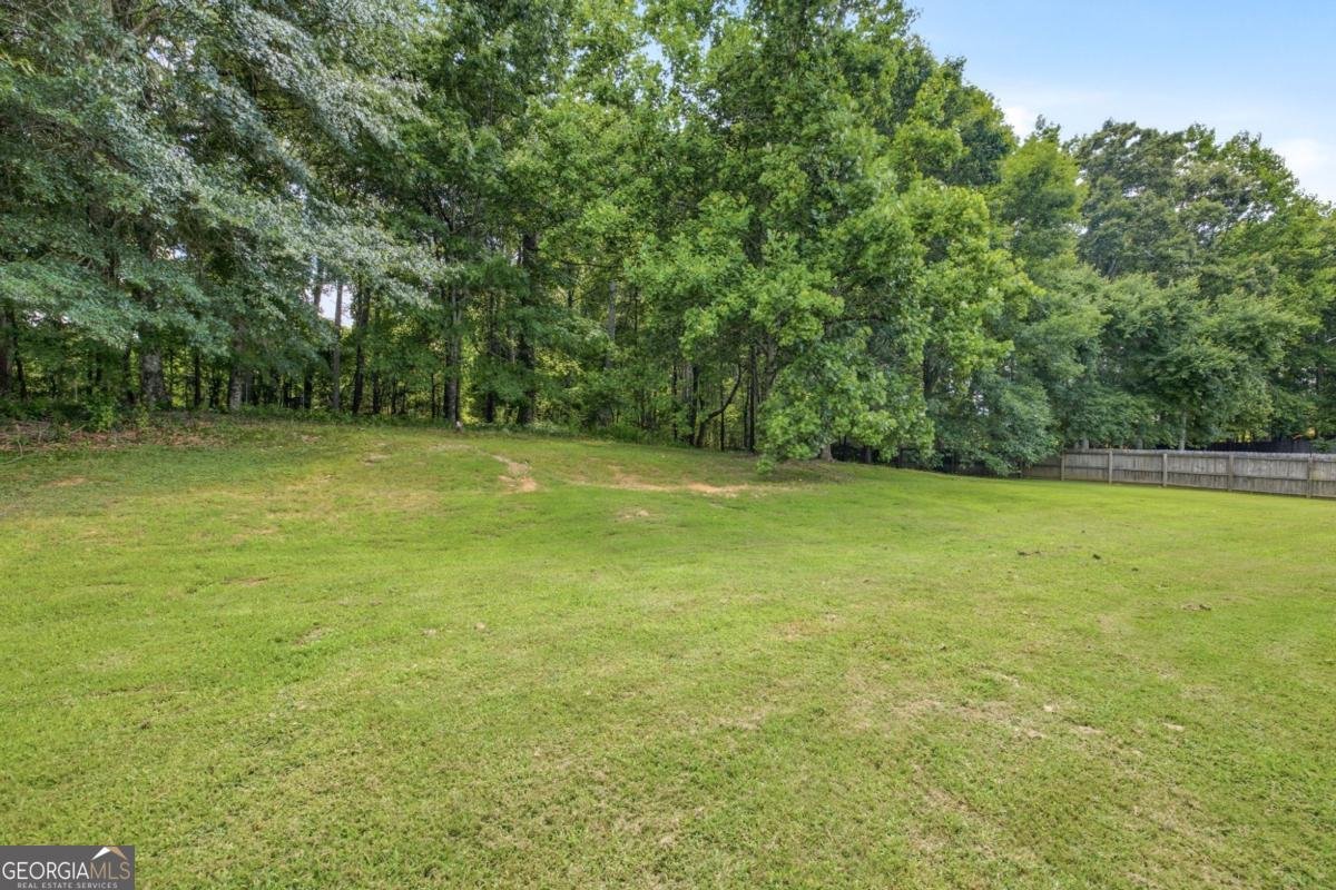 3629 Elinburg Court Buford - Photo 32