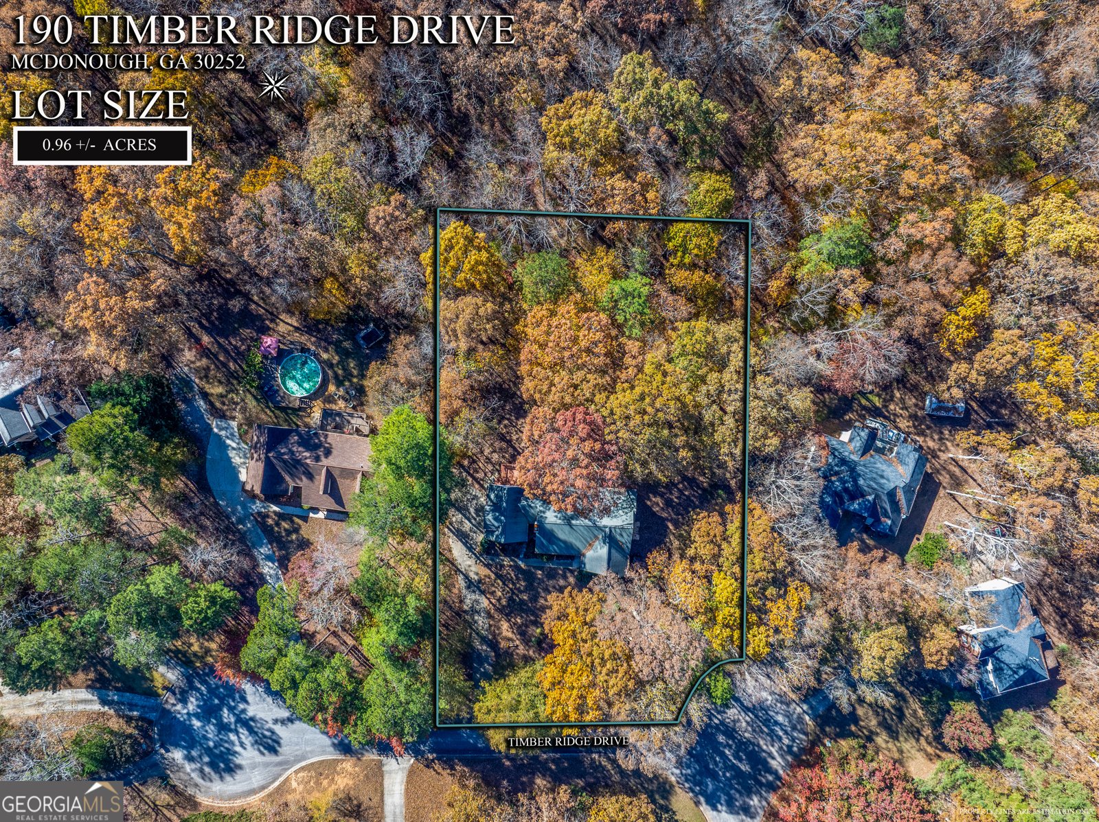 190 Timber Ridge Drive McDonough - Photo 28