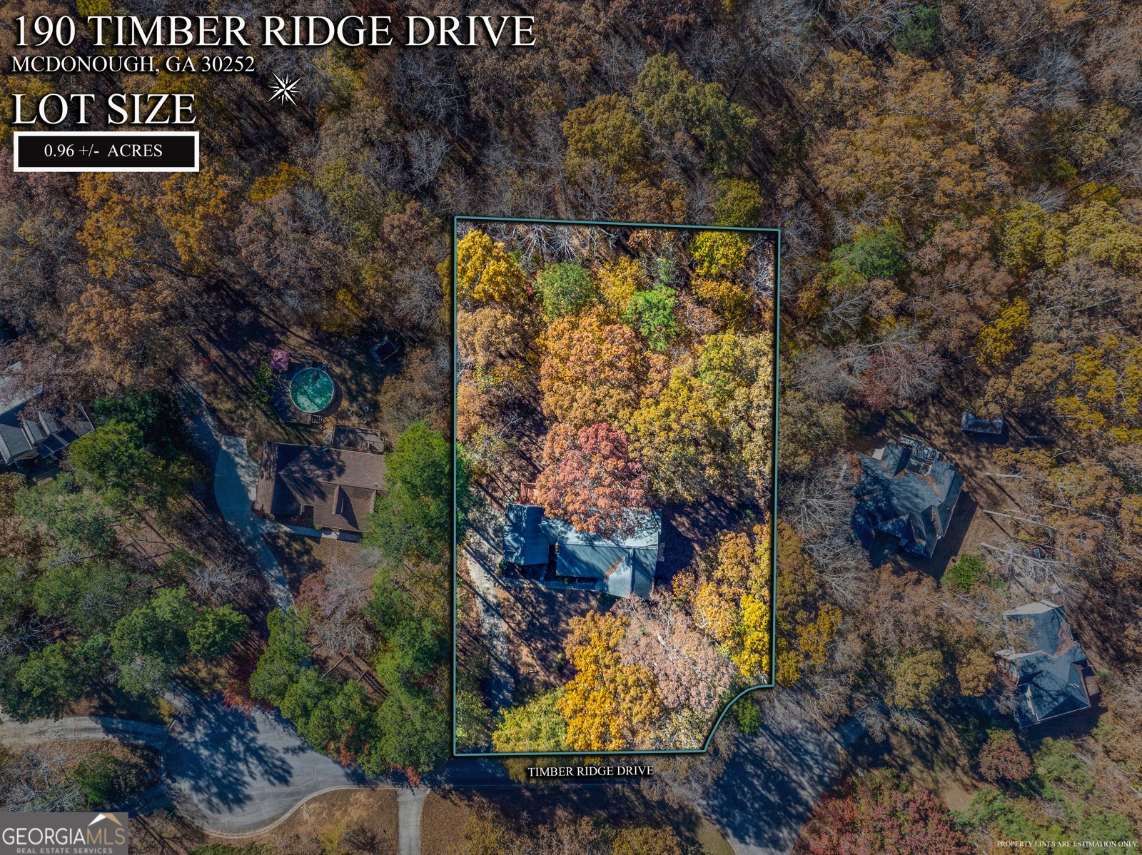 190 Timber Ridge Drive McDonough - Photo 29