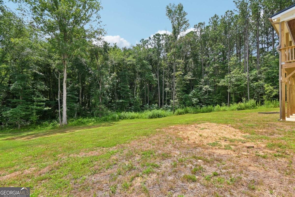 88 Carolyn Path Rockmart - Photo 83