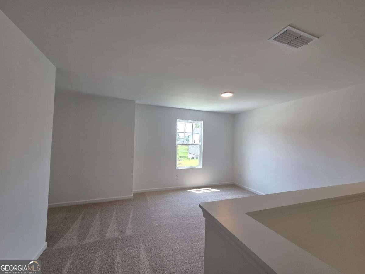 7297 Eton Lane Locust Grove - Photo 11