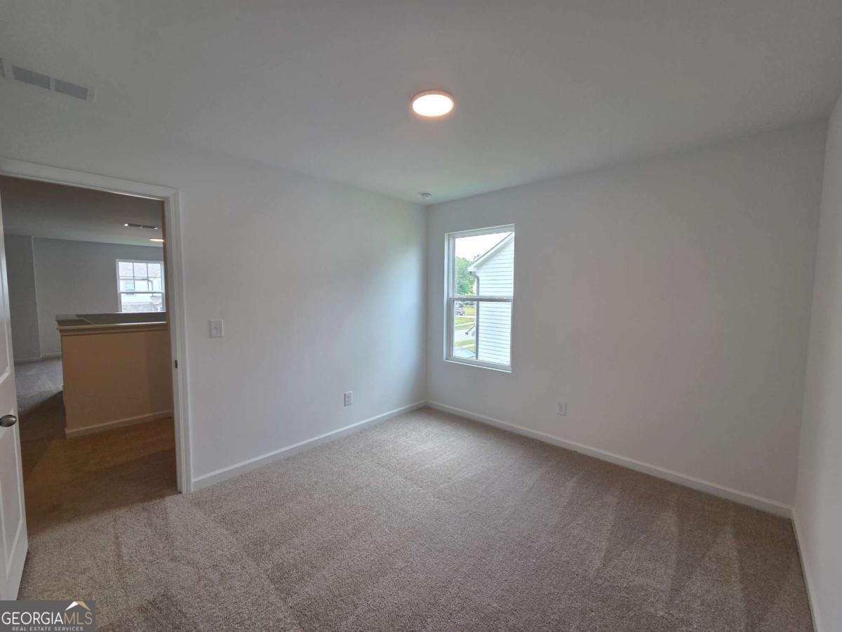7297 Eton Lane Locust Grove - Photo 14