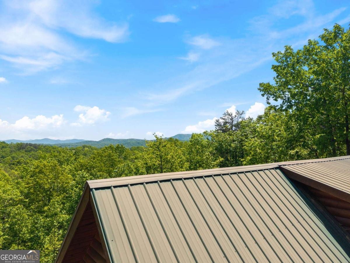 161 Huntington Way Blue Ridge - Photo 57