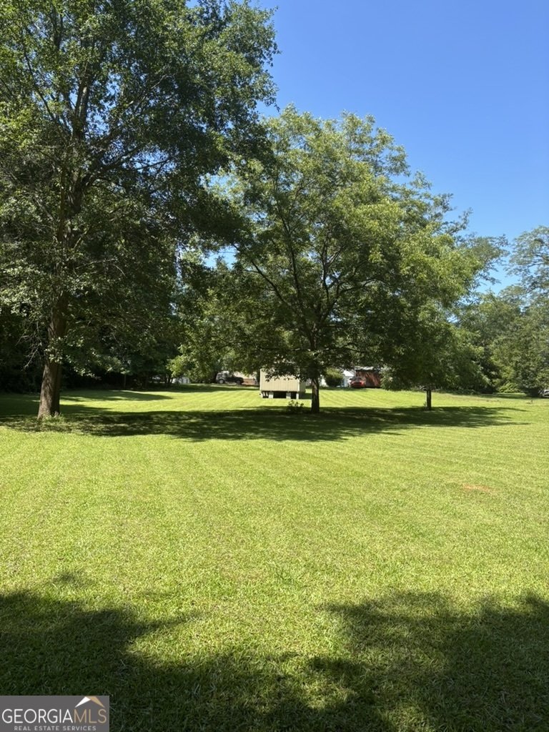 405 Crawfordville Road Union Point - Photo 13