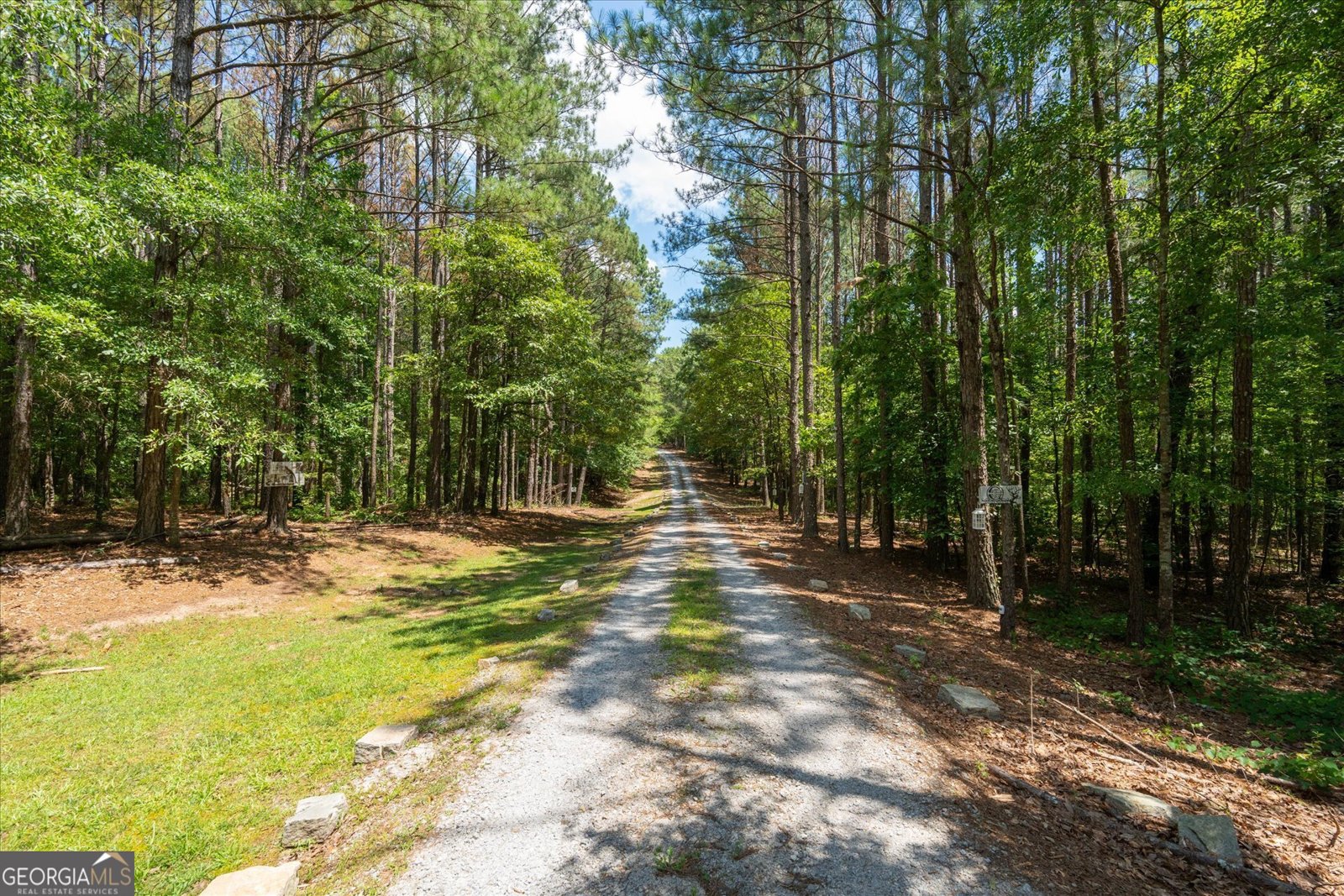 900 Old Four Notch Road Whitesburg - Photo 46