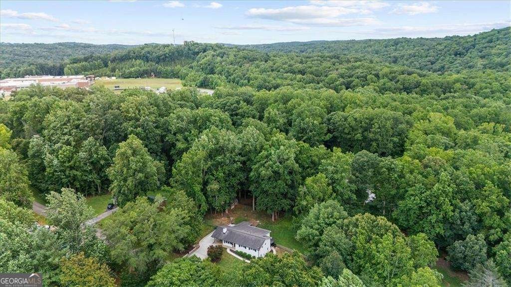 596 Cane Creek Valley Road Dahlonega - Photo 43