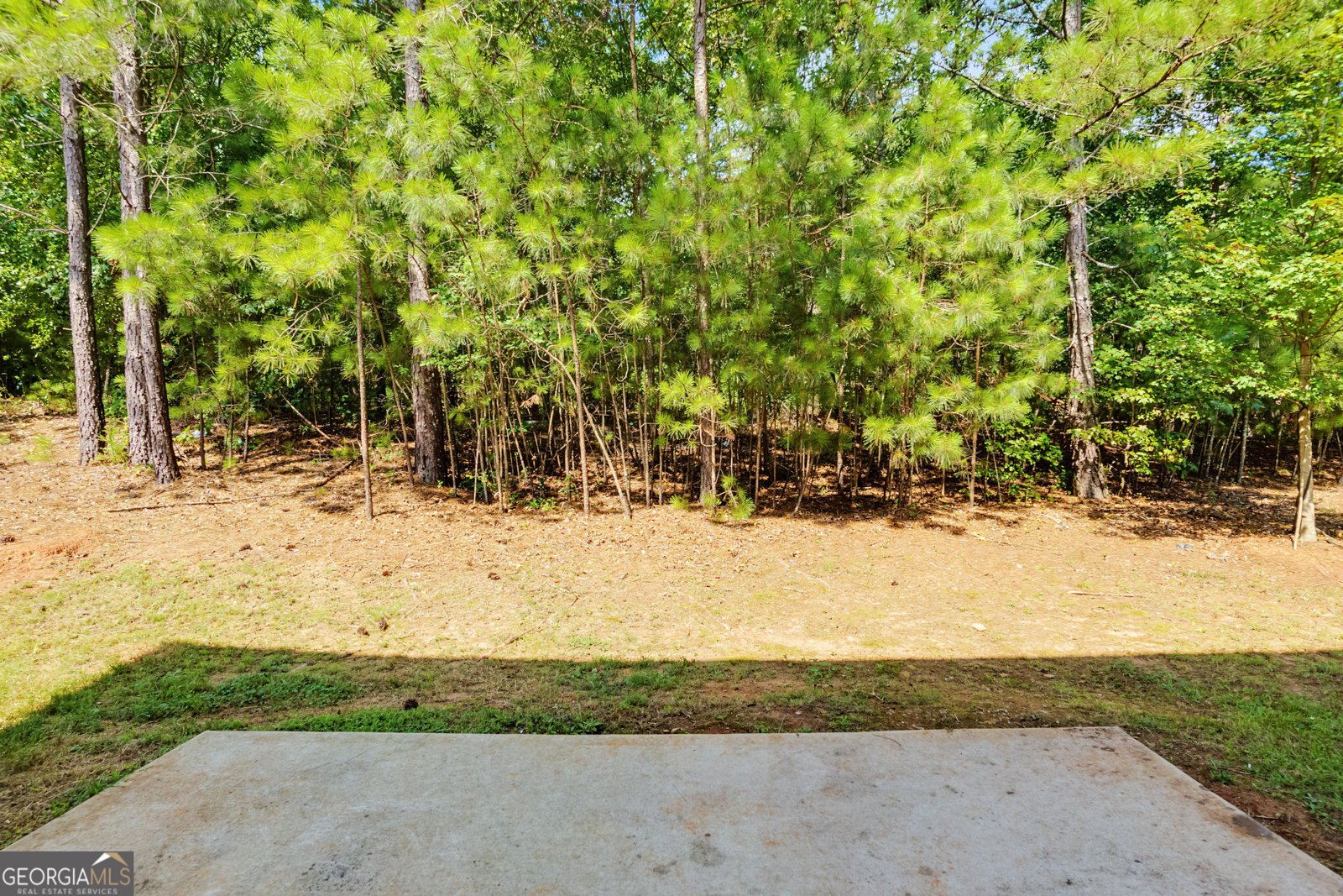 3164 Baylor Circle McDonough - Photo 32