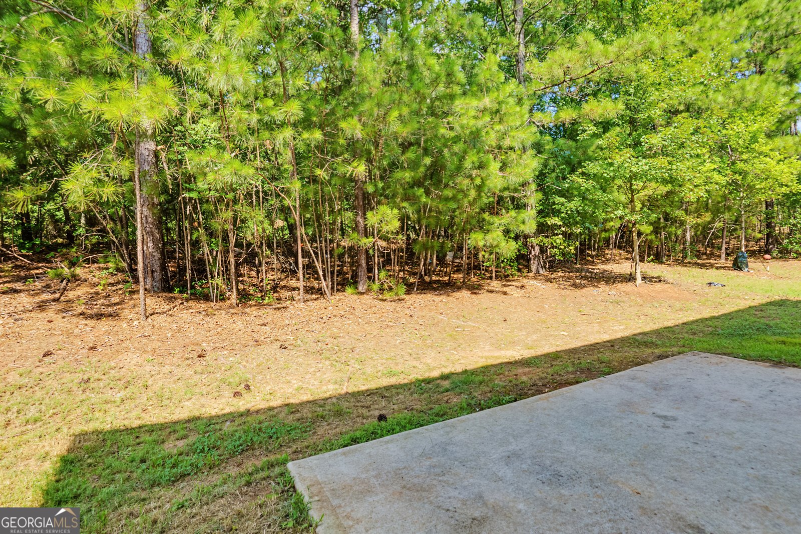 3164 Baylor Circle McDonough - Photo 33