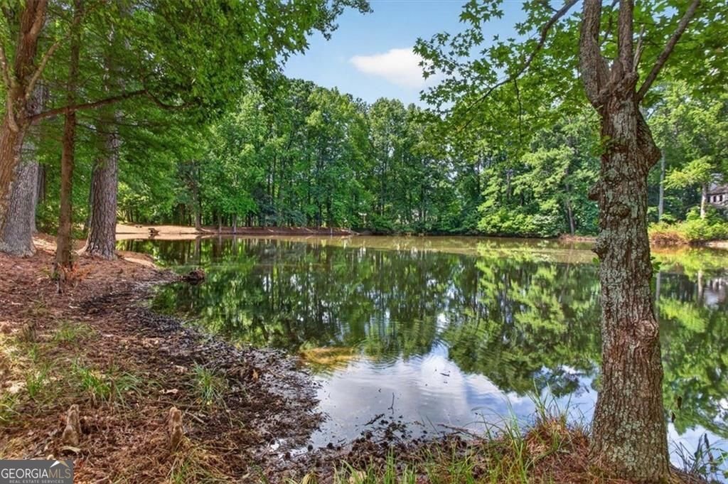 2095 Darien Park Drive Roswell - Photo 48