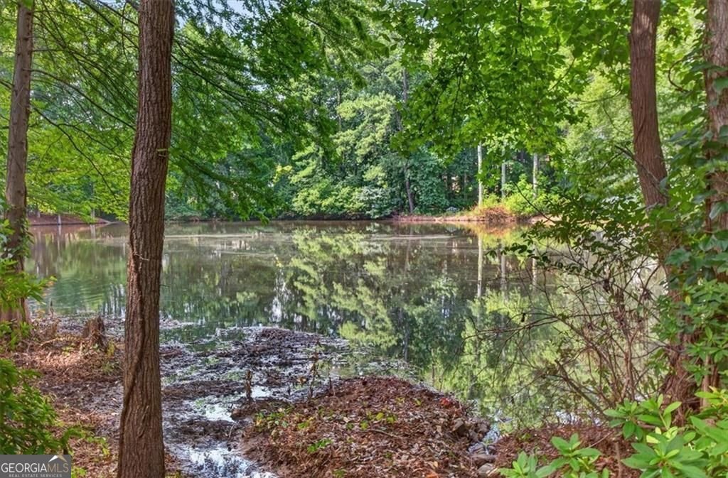2095 Darien Park Drive Roswell - Photo 49