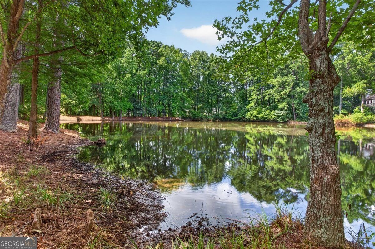 2095 Darien Park Drive Roswell - Photo 67