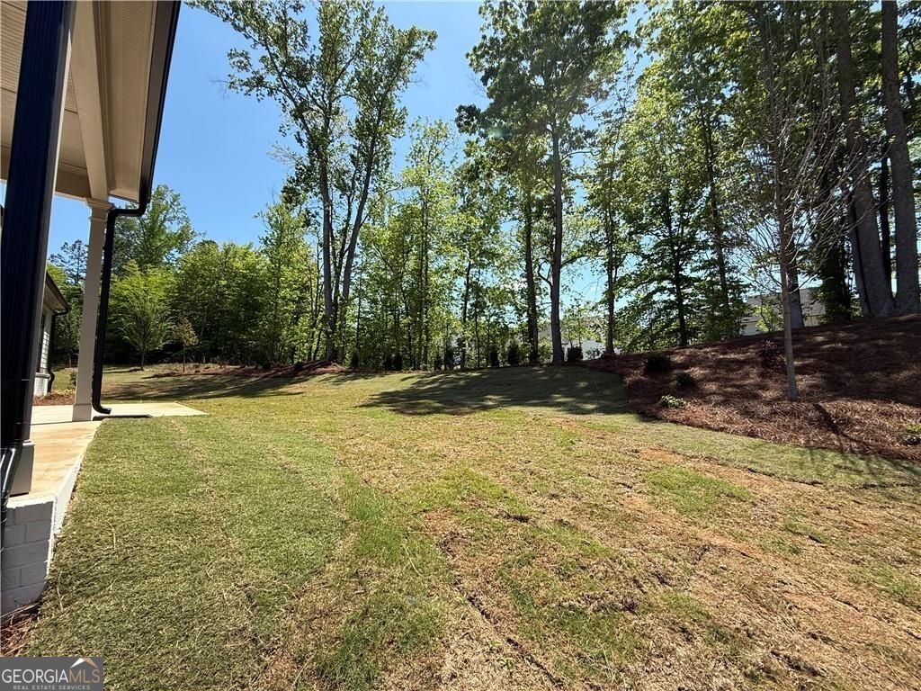 2855 Medford Drive Cumming - Photo 61