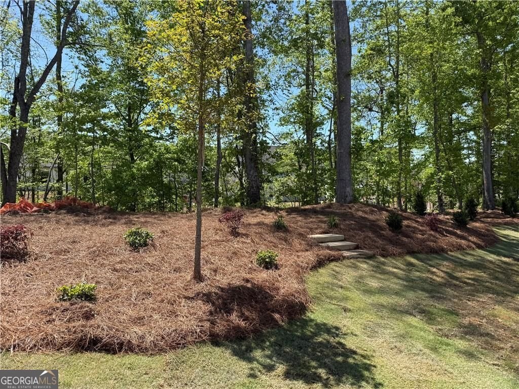 2855 Medford Drive Cumming - Photo 62
