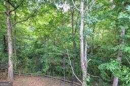 236 Mountain Vista Boulevard Canton - Photo 51