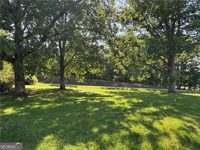 1049 Ben Higgins Road Dahlonega - Photo 15