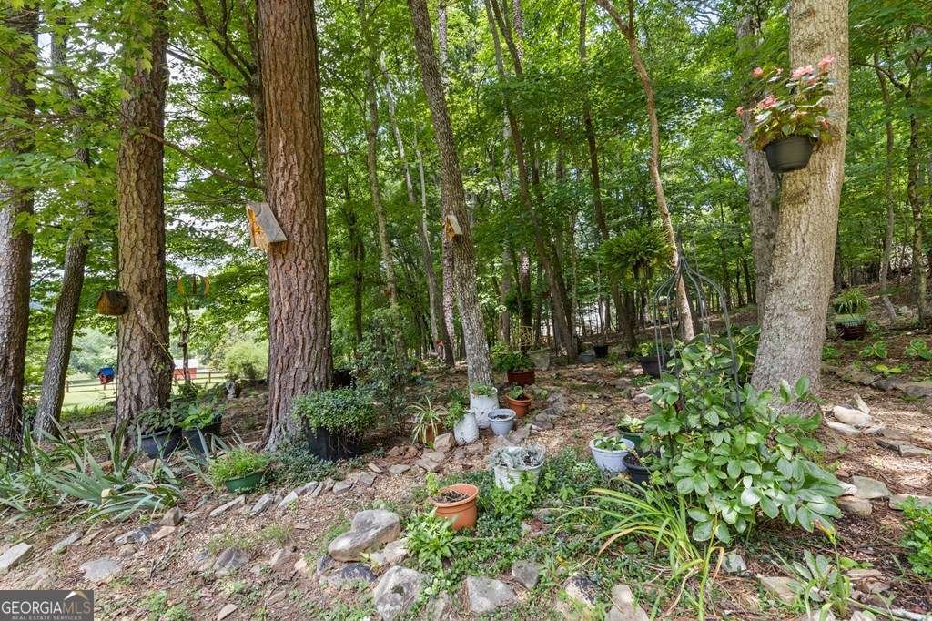 11690 Old Hwy 76 Morganton - Photo 58