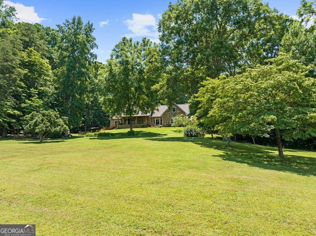 11690 Old Hwy 76 Morganton - Photo 63