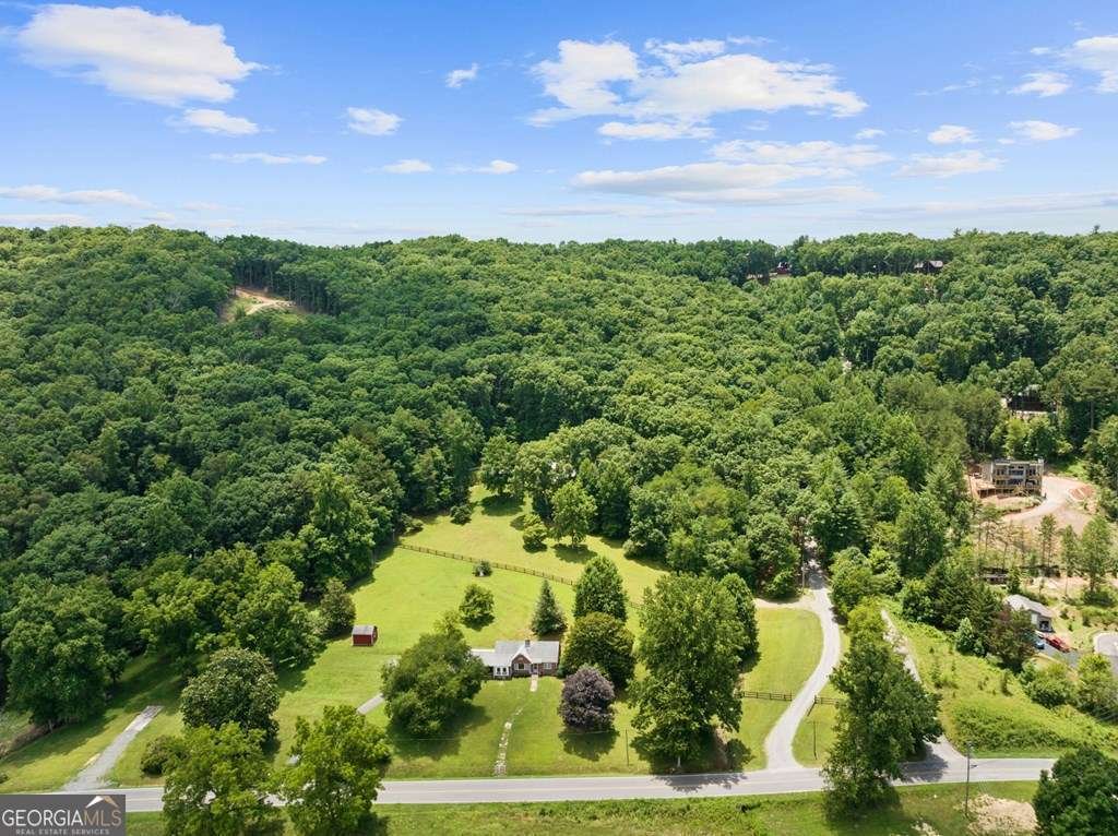 11690 Old Hwy 76 Morganton - Photo 64