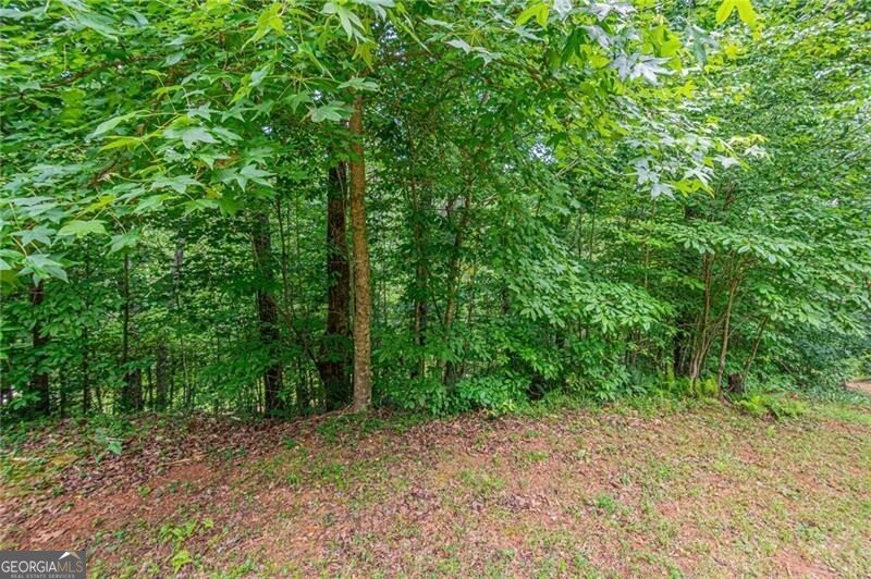 731 Jim Anderson Road Dahlonega - Photo 44
