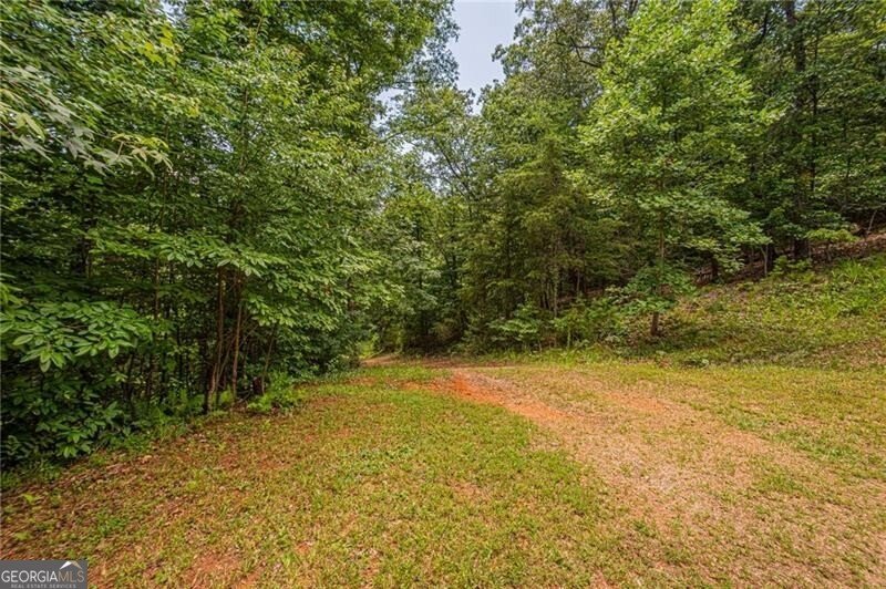 731 Jim Anderson Road Dahlonega - Photo 45
