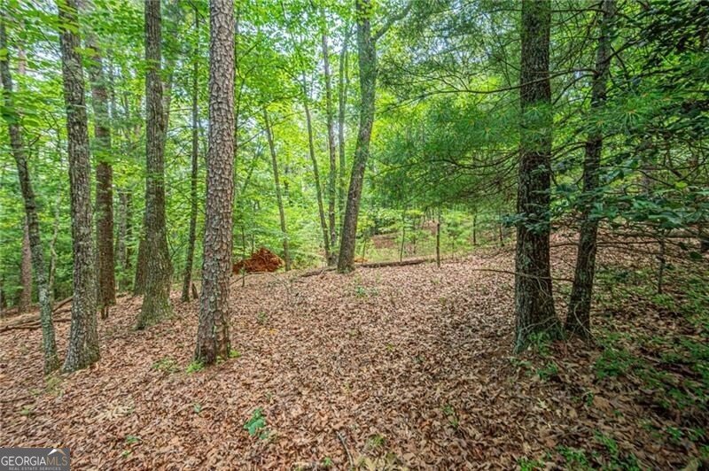 731 Jim Anderson Road Dahlonega - Photo 47