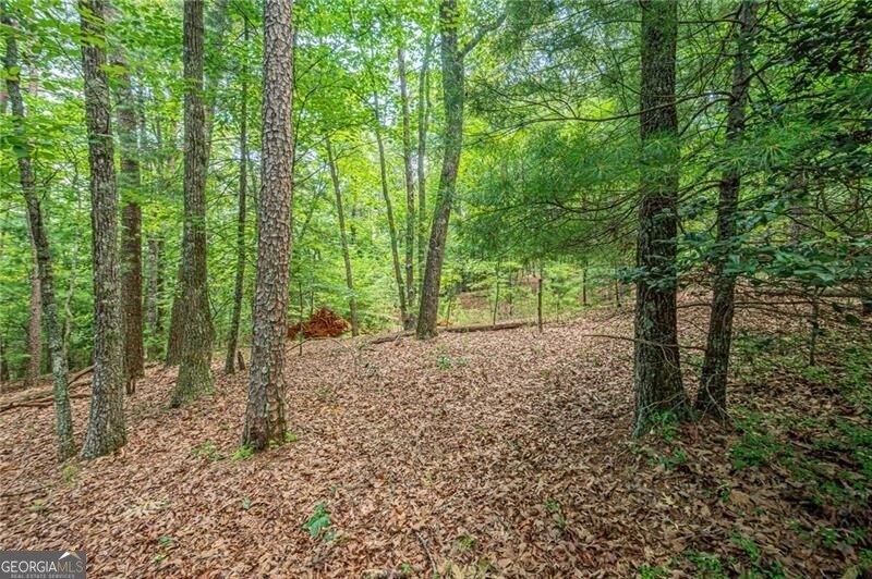 731 Jim Anderson Road Dahlonega - Photo 48