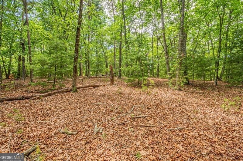 731 Jim Anderson Road Dahlonega - Photo 49