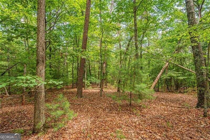 731 Jim Anderson Road Dahlonega - Photo 50