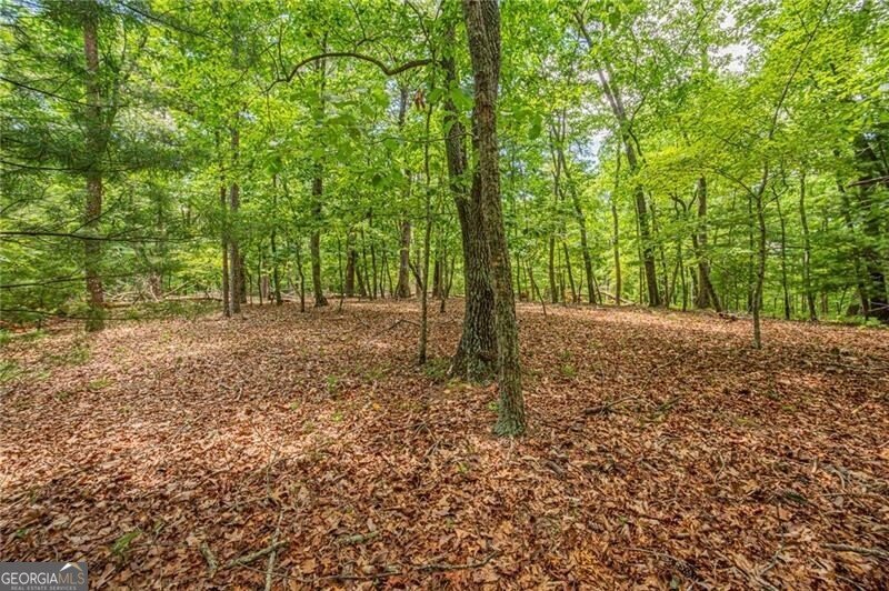 731 Jim Anderson Road Dahlonega - Photo 51