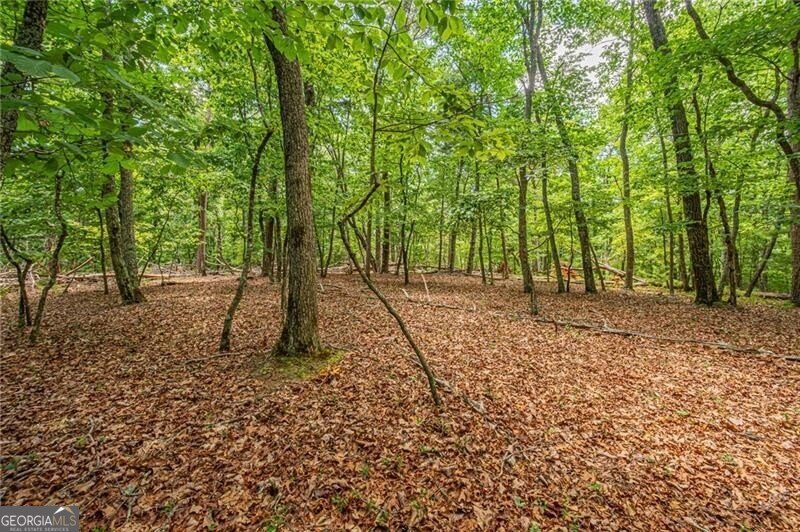 731 Jim Anderson Road Dahlonega - Photo 52