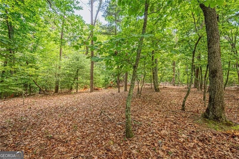 731 Jim Anderson Road Dahlonega - Photo 53