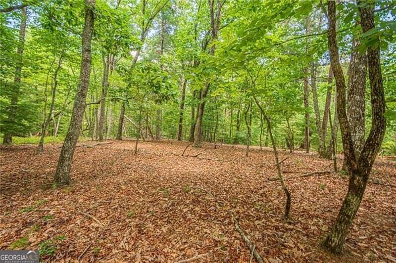 731 Jim Anderson Road Dahlonega - Photo 54