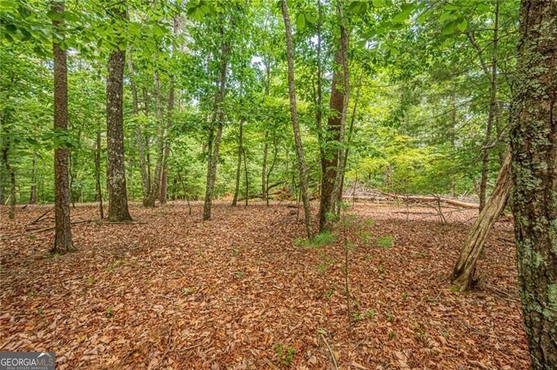731 Jim Anderson Road Dahlonega - Photo 55