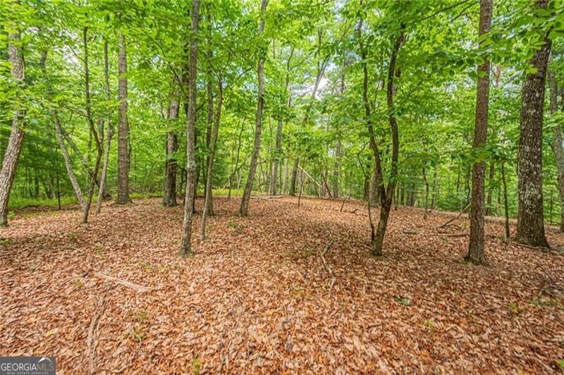 731 Jim Anderson Road Dahlonega - Photo 56