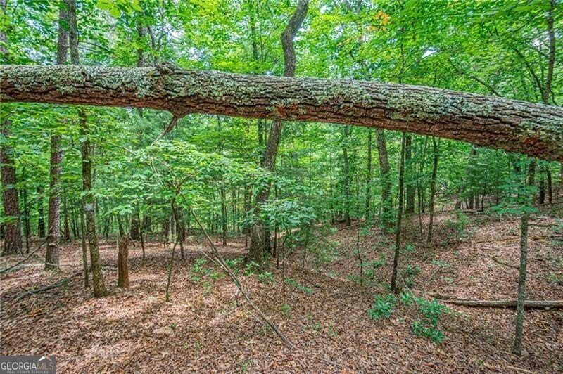 731 Jim Anderson Road Dahlonega - Photo 57