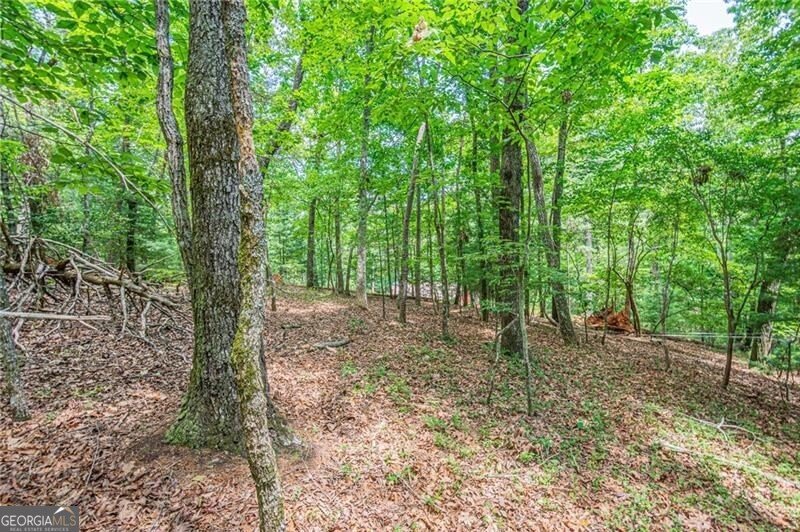 731 Jim Anderson Road Dahlonega - Photo 58